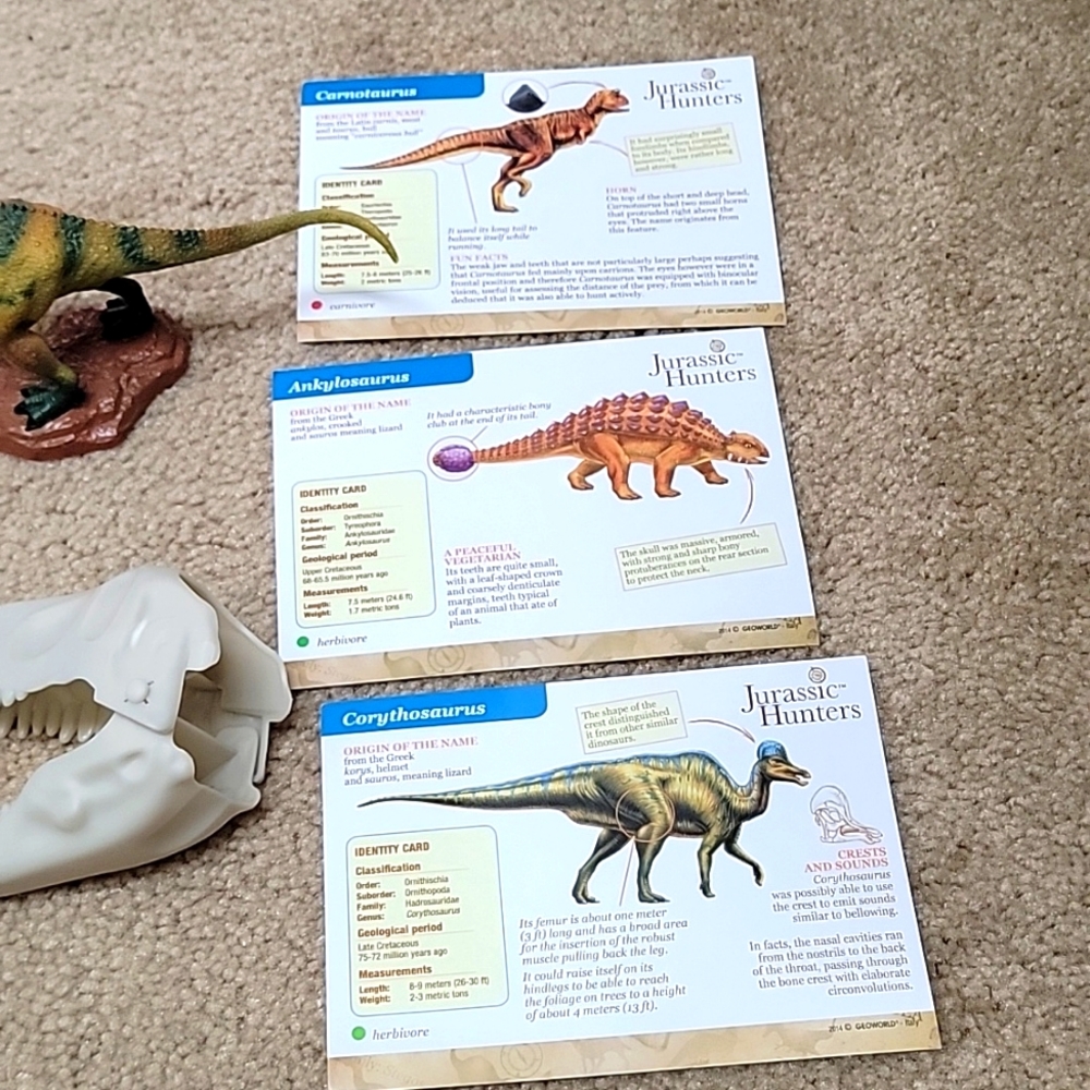 Dinosaur Learning Set - Picture 5 of 5